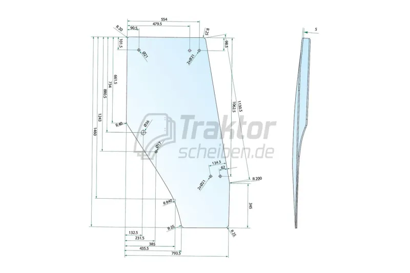 Türscheibe LH MASSEY 300er LX, LANDINI Blizzard